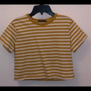 Brandy Melville Crop Top